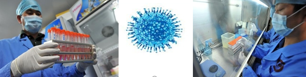 生物降解工艺流程图.png 生物降解工艺流程图.png