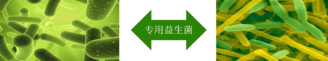 生物降解工艺流程图.png 生物降解工艺流程图.png